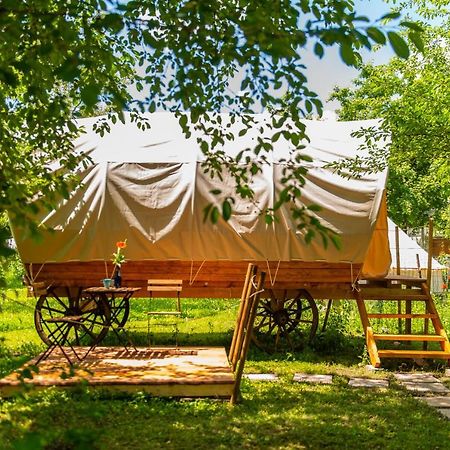 فندق Dragonfly Gardens - The Wagons براشوف المظهر الخارجي الصورة