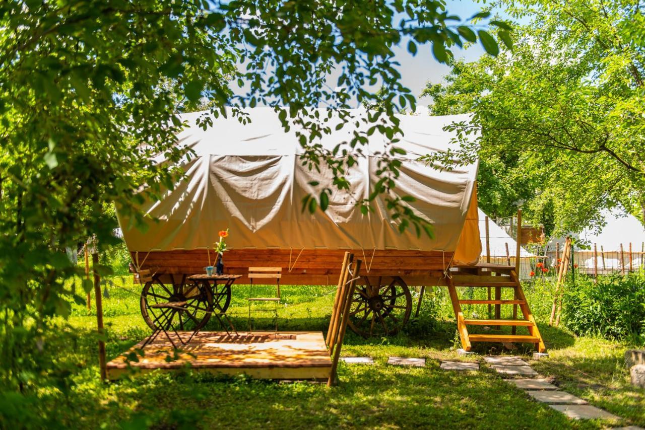 فندق Dragonfly Gardens - The Wagons براشوف المظهر الخارجي الصورة