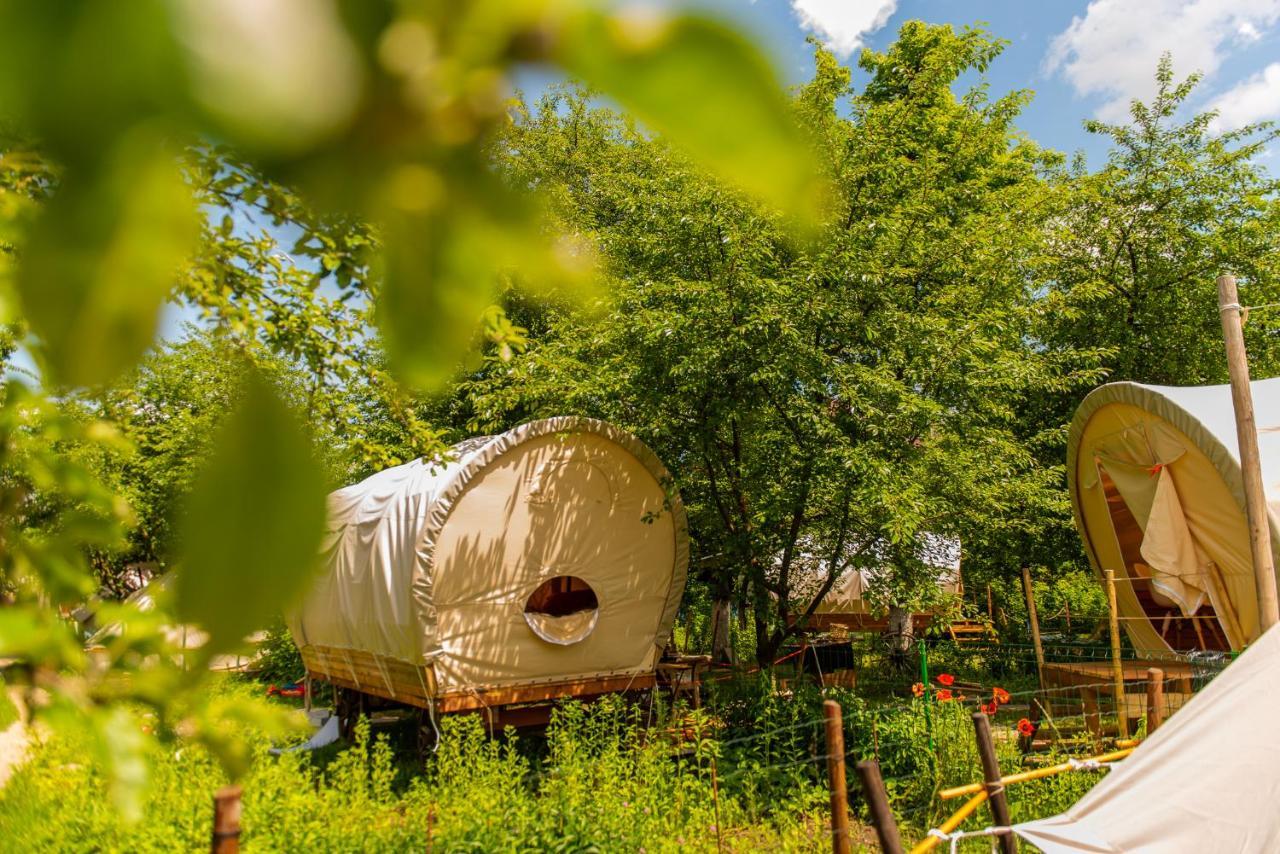 فندق Dragonfly Gardens - The Wagons براشوف المظهر الخارجي الصورة