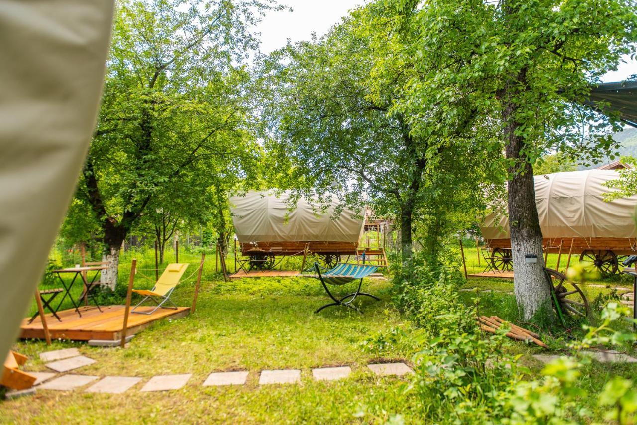 فندق Dragonfly Gardens - The Wagons براشوف المظهر الخارجي الصورة