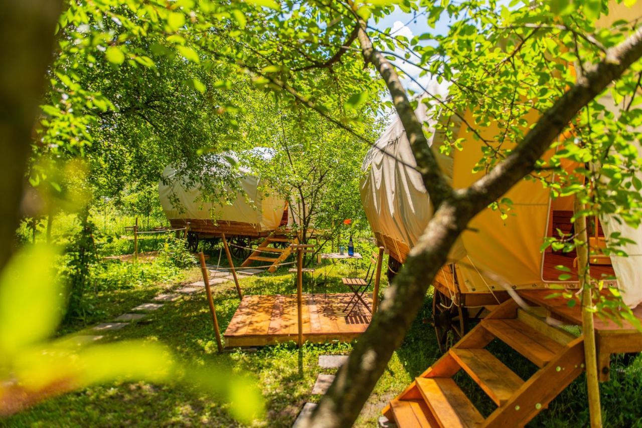 فندق Dragonfly Gardens - The Wagons براشوف المظهر الخارجي الصورة