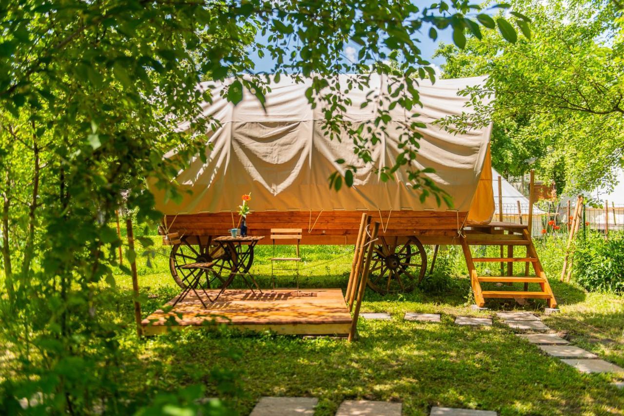 فندق Dragonfly Gardens - The Wagons براشوف المظهر الخارجي الصورة