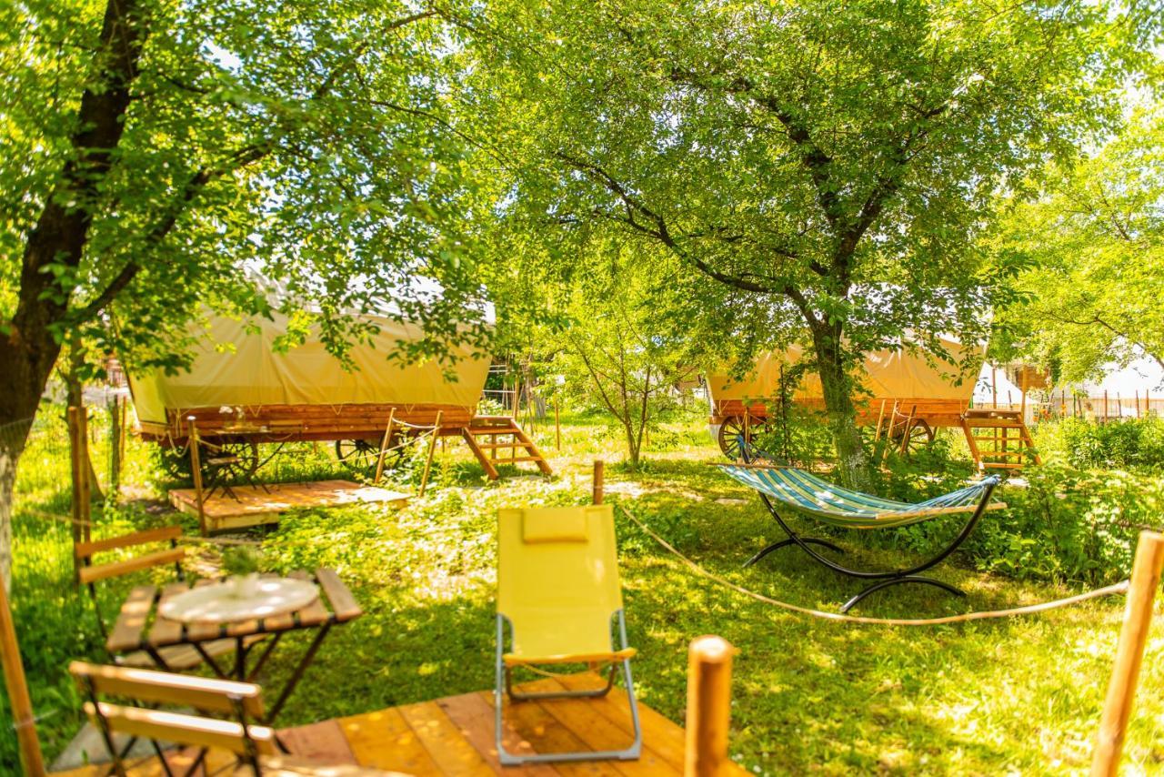 فندق Dragonfly Gardens - The Wagons براشوف المظهر الخارجي الصورة