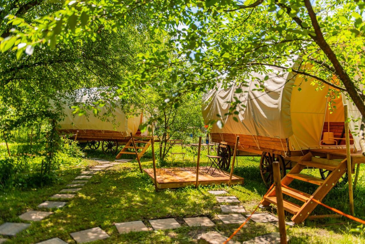فندق Dragonfly Gardens - The Wagons براشوف المظهر الخارجي الصورة