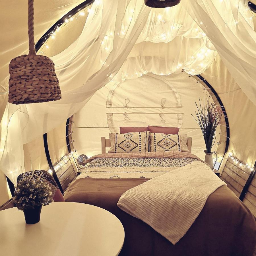 فندق Dragonfly Gardens - The Wagons براشوف المظهر الخارجي الصورة