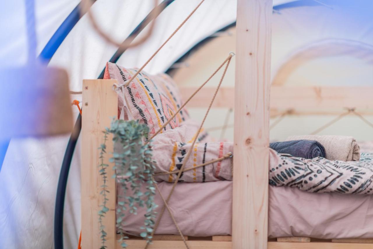 فندق Dragonfly Gardens - The Wagons براشوف المظهر الخارجي الصورة