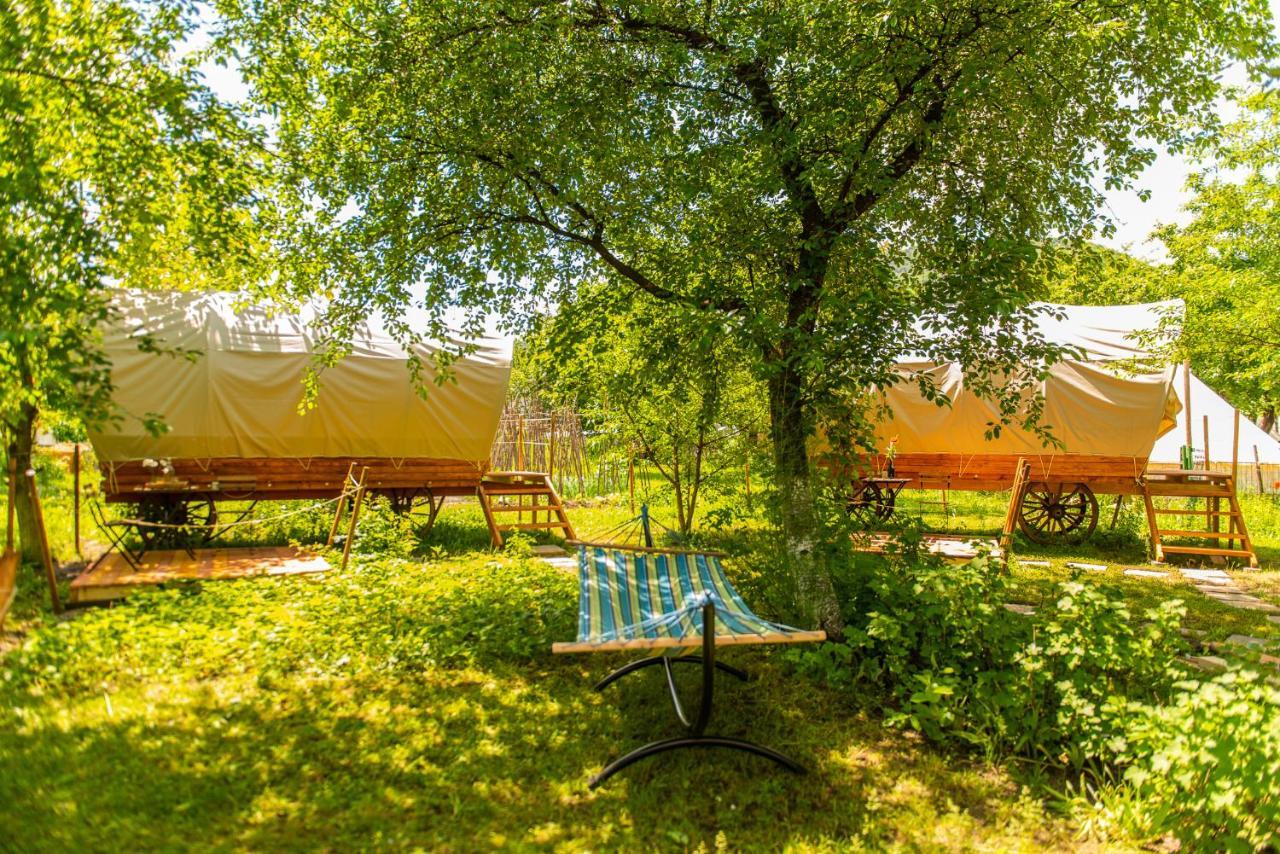 فندق Dragonfly Gardens - The Wagons براشوف المظهر الخارجي الصورة