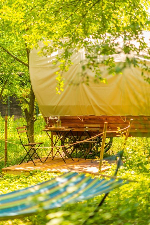 فندق Dragonfly Gardens - The Wagons براشوف المظهر الخارجي الصورة