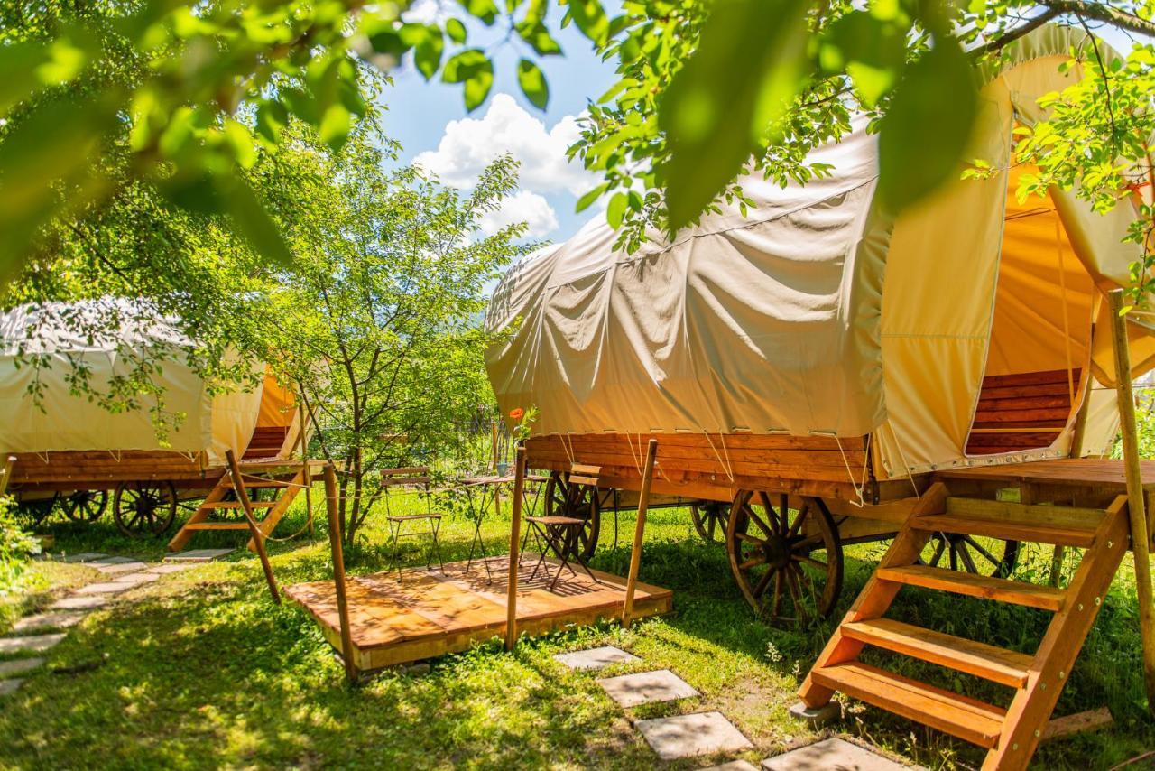 فندق Dragonfly Gardens - The Wagons براشوف المظهر الخارجي الصورة