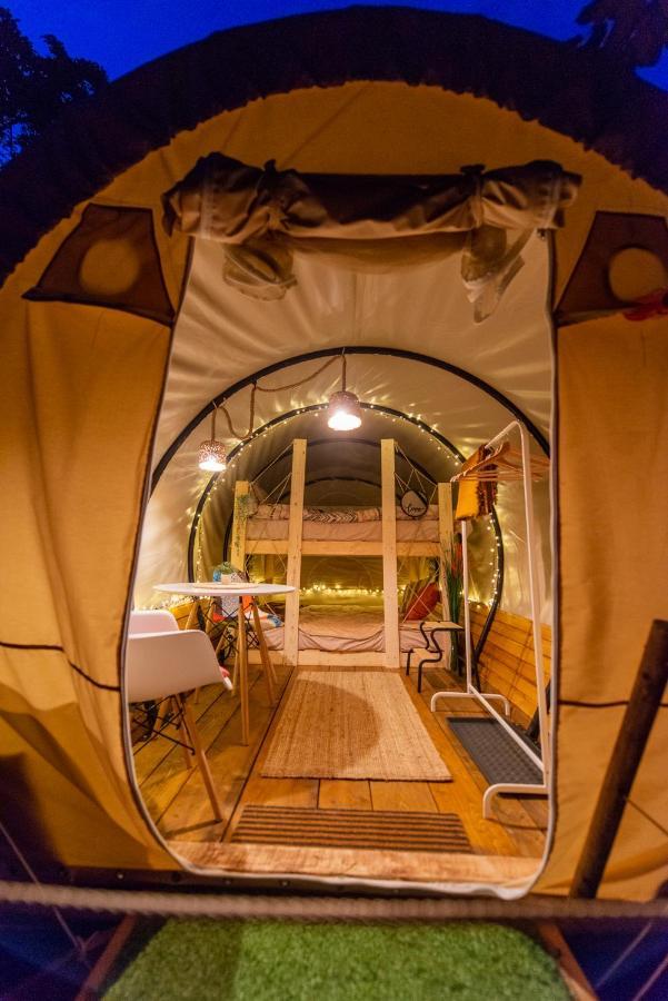 فندق Dragonfly Gardens - The Wagons براشوف المظهر الخارجي الصورة