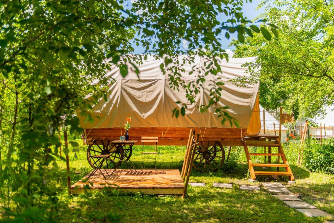 فندق Dragonfly Gardens - The Wagons براشوف المظهر الخارجي الصورة