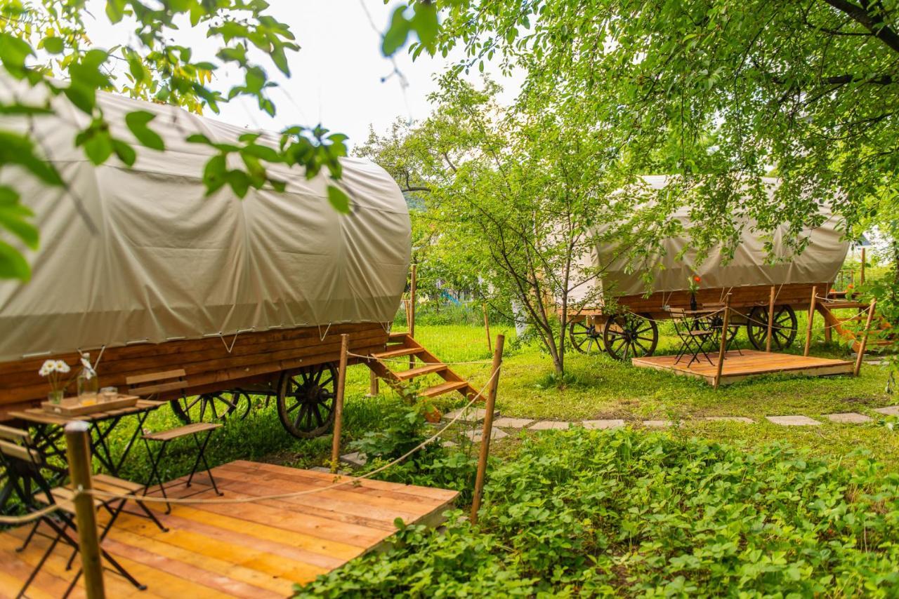 فندق Dragonfly Gardens - The Wagons براشوف المظهر الخارجي الصورة