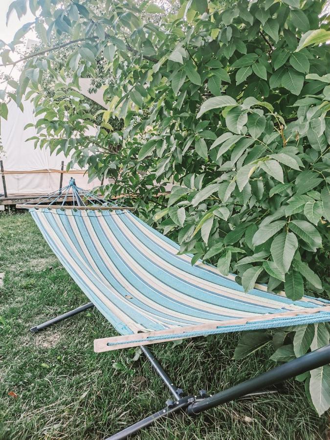 فندق Dragonfly Gardens - The Wagons براشوف المظهر الخارجي الصورة