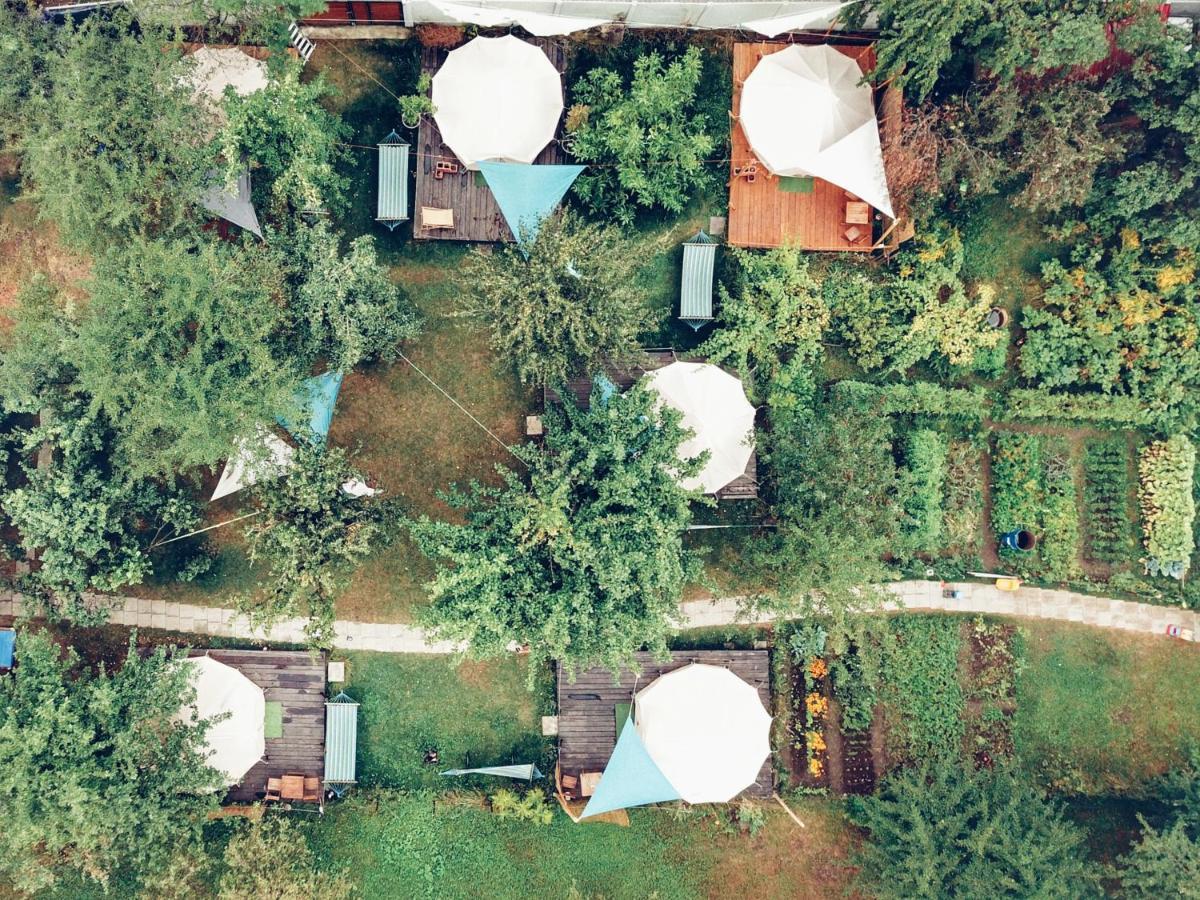 فندق Dragonfly Gardens - The Wagons براشوف المظهر الخارجي الصورة