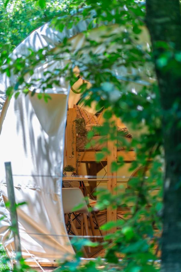 فندق Dragonfly Gardens - The Wagons براشوف المظهر الخارجي الصورة