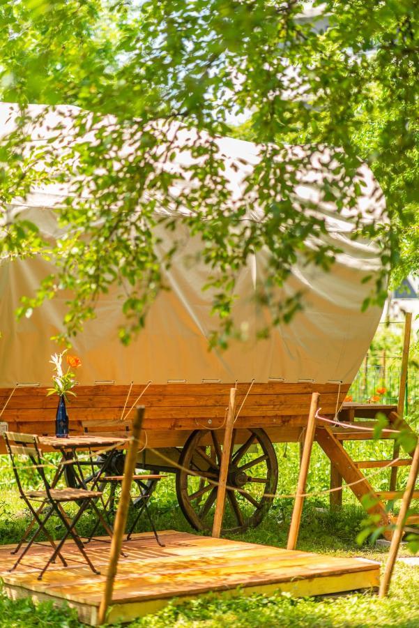 فندق Dragonfly Gardens - The Wagons براشوف المظهر الخارجي الصورة