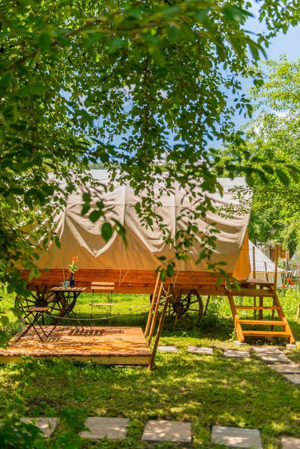 فندق Dragonfly Gardens - The Wagons براشوف المظهر الخارجي الصورة