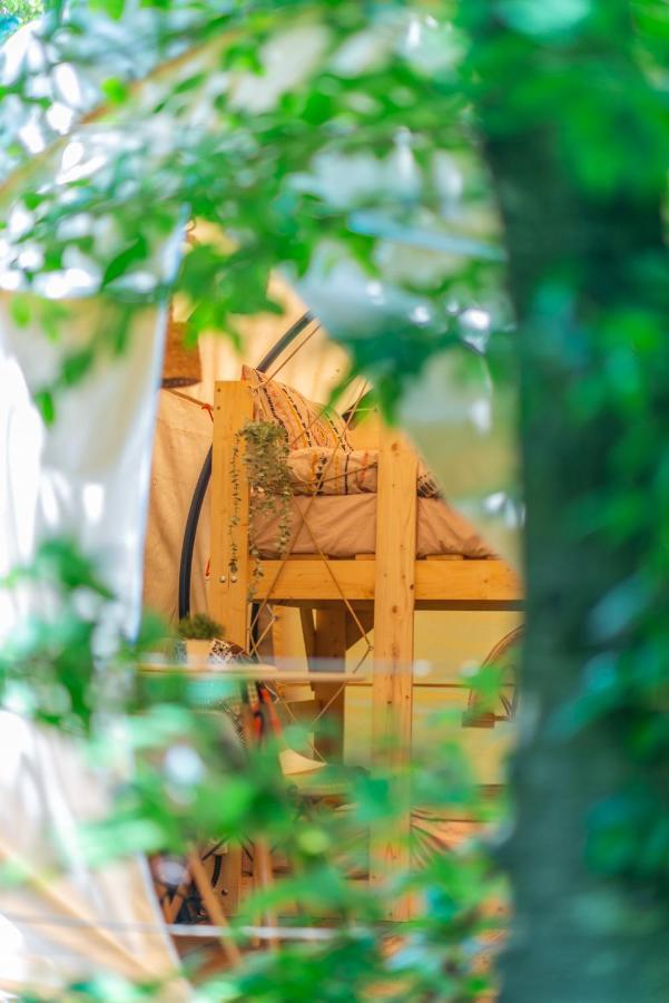 فندق Dragonfly Gardens - The Wagons براشوف المظهر الخارجي الصورة