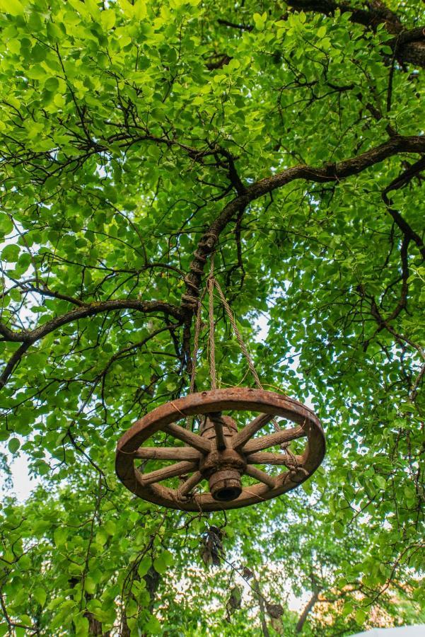فندق Dragonfly Gardens - The Wagons براشوف المظهر الخارجي الصورة