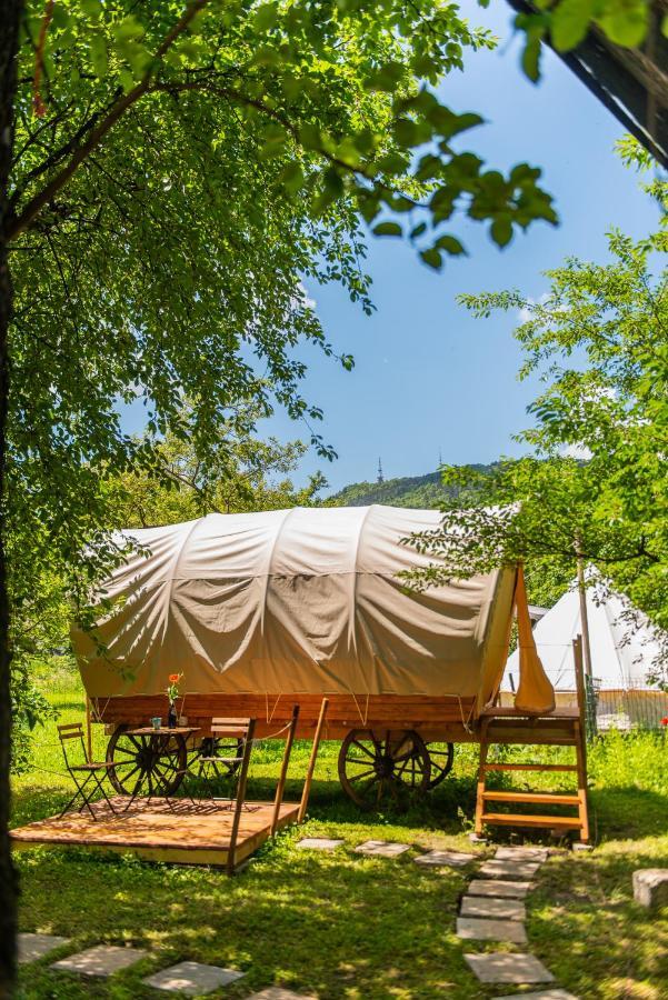 فندق Dragonfly Gardens - The Wagons براشوف المظهر الخارجي الصورة