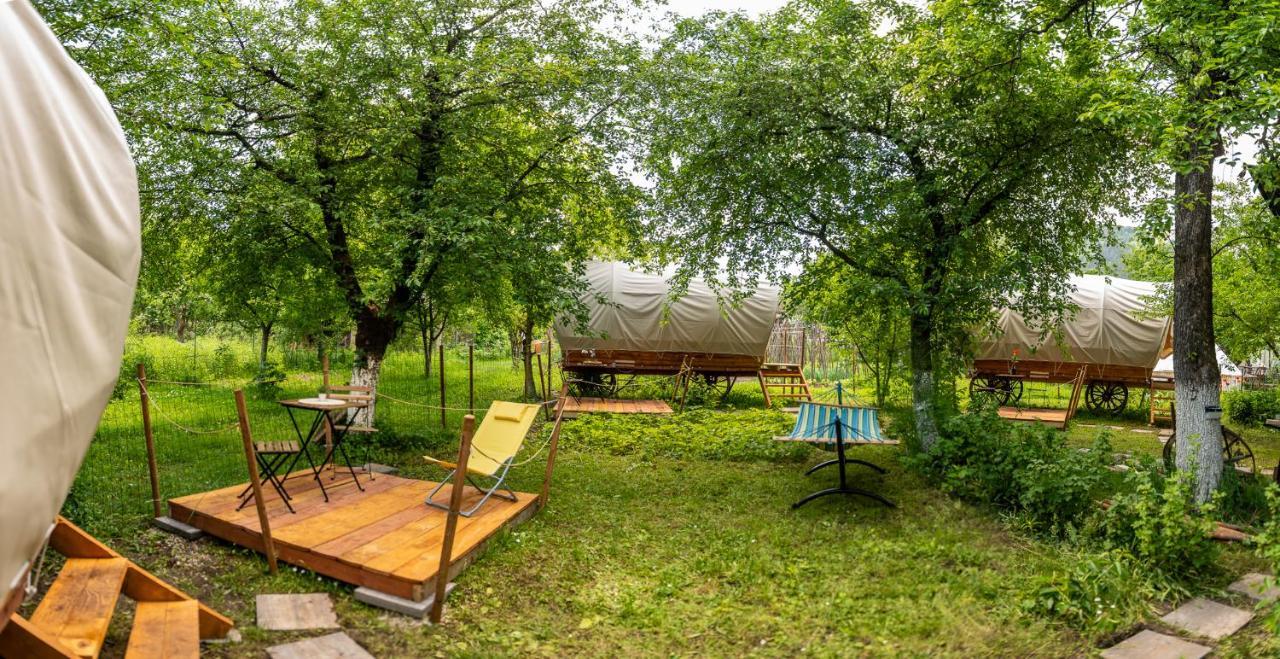 فندق Dragonfly Gardens - The Wagons براشوف المظهر الخارجي الصورة